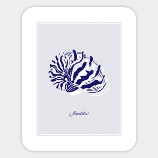 Nautilus Tiger Shell. Realistic sea life drawings. Sticker